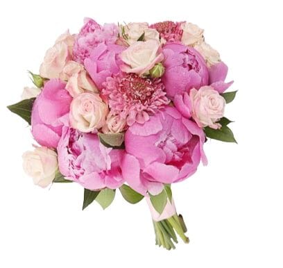 Pink Peonies and Scobiosa Bridal Bouquet