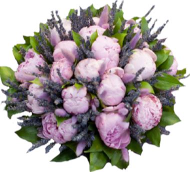 Pink Peonies with Lavender in Greenery Bouquet