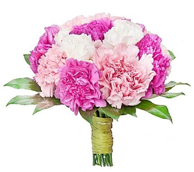 Pink Shades of Carnations Bouquet