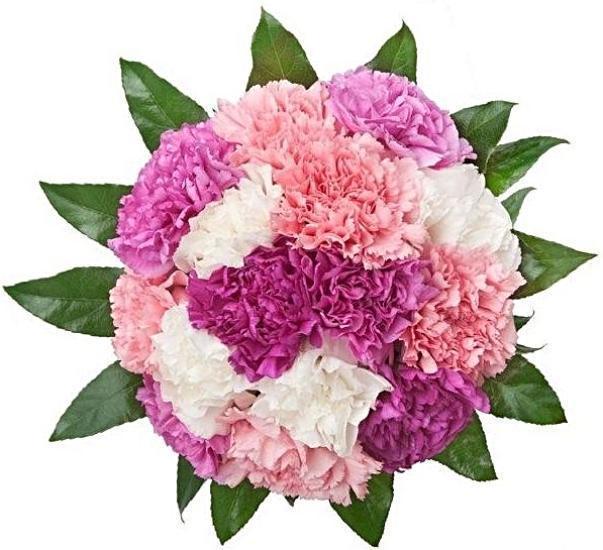 Pink Shades of Carnations Bouquet