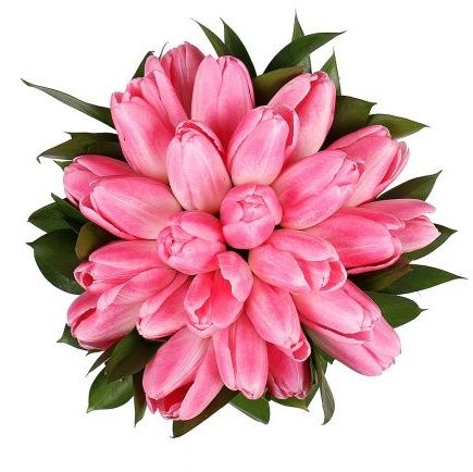 Pink Tulips Bridal Bouquet