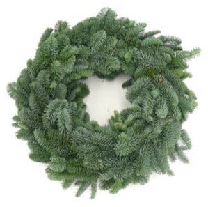Plain Fresh Spruce Wreath