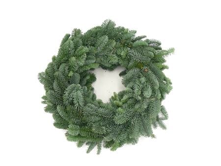 Plain Fresh Spruce Wreath