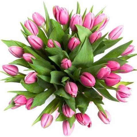 Pink Tulips Bouquet