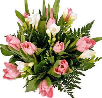 Pink Tulips & Freesias Bouquet