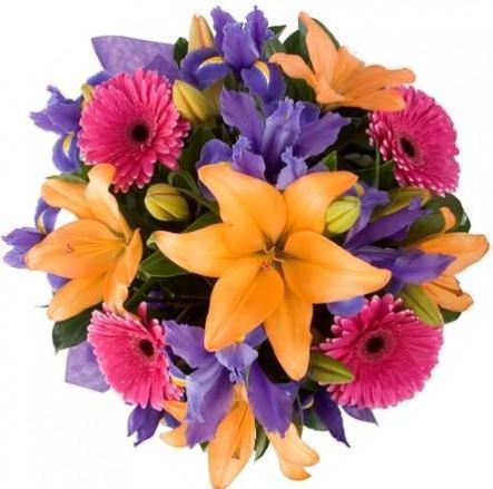 Play of Vibrant Bouquet