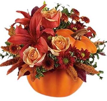 Pretty Pumpkin  Petals